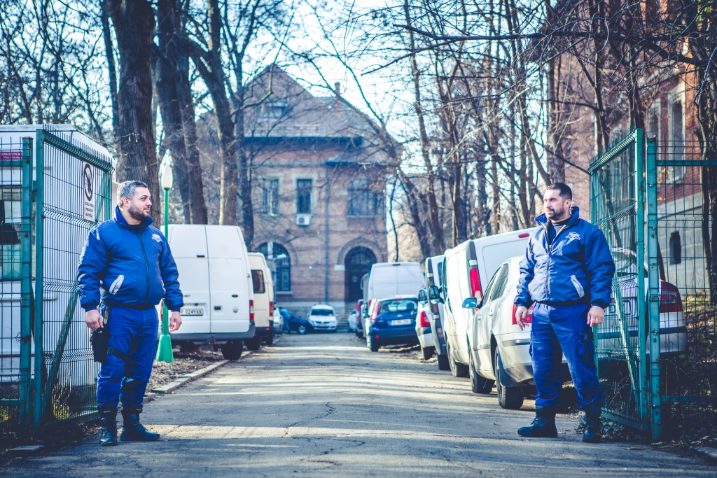 firma de paza | MAO Protect