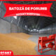 Batoza de Porumb