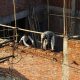 Renovarea unui apartament vechi: ordinea corectă a lucrărilor și unde se pierd banii